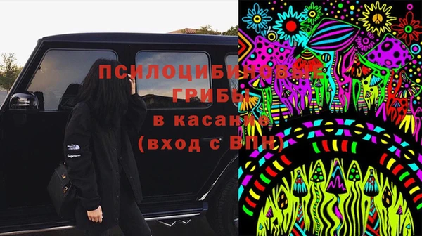 молекула духа Красноперекопск