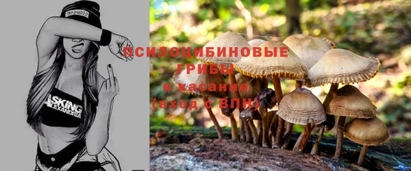 мяу мяу кристалл Краснослободск