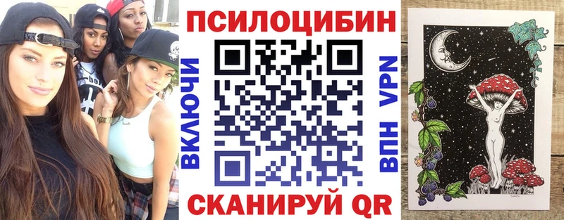 Купить где  Высоцк  Псилоцибиновые грибы MAGIC MUSHROOMS 