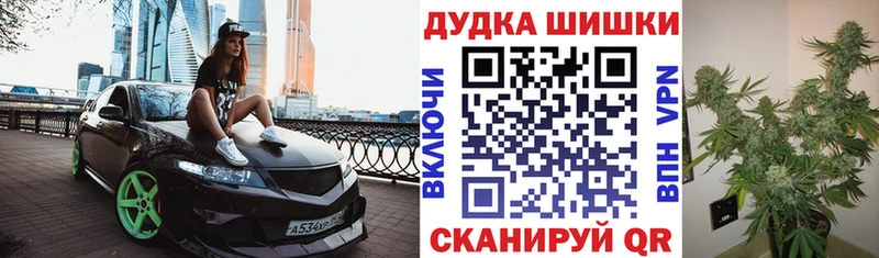 Купить закладки  Высоцк  Бошки Шишки план 